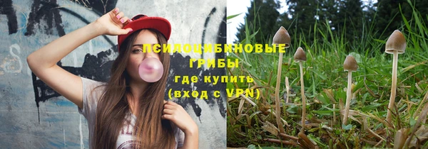 прущая мука Пересвет