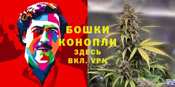гашик Весьегонск